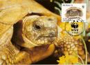 Bienvenue dans le monde de la tortue d'Hermann. Un blog qui vous permettra de mieux comprendre le fonctionnement et  le 